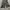 Nike Y2K Sportswear Sweatpants & Joggers Pria white black photo 3