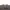 CARHARTT SWEATSHIRT / Crewneck Script bordir photo 4