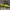 Green Neon Blue Black Umbro Sportswear Big Logo Center Longs photo 7