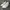 Nike Casual Sneakers Wanita white black photo 1