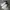Nike Casual Sneakers Wanita white black photo 3
