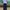 Streetwear Skater Formal pants Pria navy photo 5