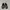 Nike Dualtone Racer Black Grey photo 2