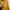 Blazer Fashion kuning kunyit photo 4