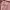 Nike SB crewneck baby pink photo 4