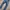 Antony moratto jeans skinny ripped second branded photo 3