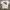 LED ZEPPLIN RINGER TEE 2003