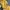 Vintage Biker Track jacket Pria yellow photo 5