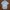 Denizen From Levis Double Pocket size tag S photo 1