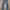 Calvin klein jeans sultan slim straight second iriginal photo 3