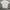 JOY DIVISION UNKNOWN PLEASURES 2019 photo 1