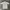 Vintage Sportswear Casual shirt Pria cream photo 1