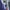 Vans old skool travis barker "DUES PAID" white photo 5