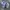 Vans old skool travis barker "DUES PAID" white photo 2