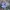 Vans old skool travis barker "DUES PAID" white photo 1