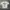 T shirt Stussy x GrDigital photo 4