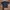 Workshirt photo 1