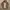 outdoor jacket gorpcore windbreaker photo 2