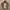 Outdoor Jacket Gorpcore Windbreaker