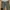Japanese brand Vintage Streetwear Flare pants Wanita green photo 4