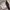 Vivienne westwood oxford leather shoes photo 8