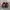 Vivienne westwood oxford leather shoes photo 2