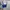 12333 _ electric blue crop knit tanktop photo 5