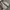 Nike air footscape woven chukka dark grey photo 3