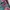 y2k summer hotpans by roxy  photo 5