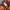 Vintage Casual Casual pants Pria orange photo 2