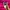 y2k hot pink neon hotpans by roxy photo 2