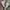 Vans off the wall sk8 hi patta frost grey photo 1