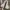 Vans off the wall sk8 hi patta frost grey photo 4