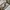 Vans off the wall sk8 hi patta frost grey photo 10