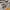 Supreme vanson leathers authentic photo 3