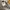 Supreme Vanson Leathers Authentic