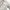 BURBERRY BRIT LINE BROWN CHECK UTILITY WINDBREAKER JACKET photo 9