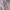 windbreaker outdoor jacket double layer photo 5