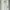 Zara White Skinny Ripped Jeans Second photo 1