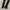 black small round photo 2