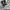 Raiders NFL Short Pants Second photo 8