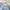 Raiders NFL Short Pants Second photo 4