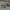 Chanel Sunglasses Silver Grey 4232  Mirrorer