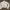 her.official kaia cardigan white photo 1