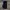 Dickies Genuine GP6388BK Work Pants #JNLP25