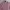 Tommy Hilfiger Shirt Size Fit M photo 2