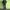 marqoret dark grey cargo pants  photo 2