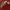 Undercover Avant Garde T-shirt Pria burgundy photo 2