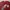 Undercover Avant Garde T-shirt Pria burgundy photo 4