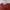 Undercover Avant Garde T-shirt Pria burgundy photo 5
